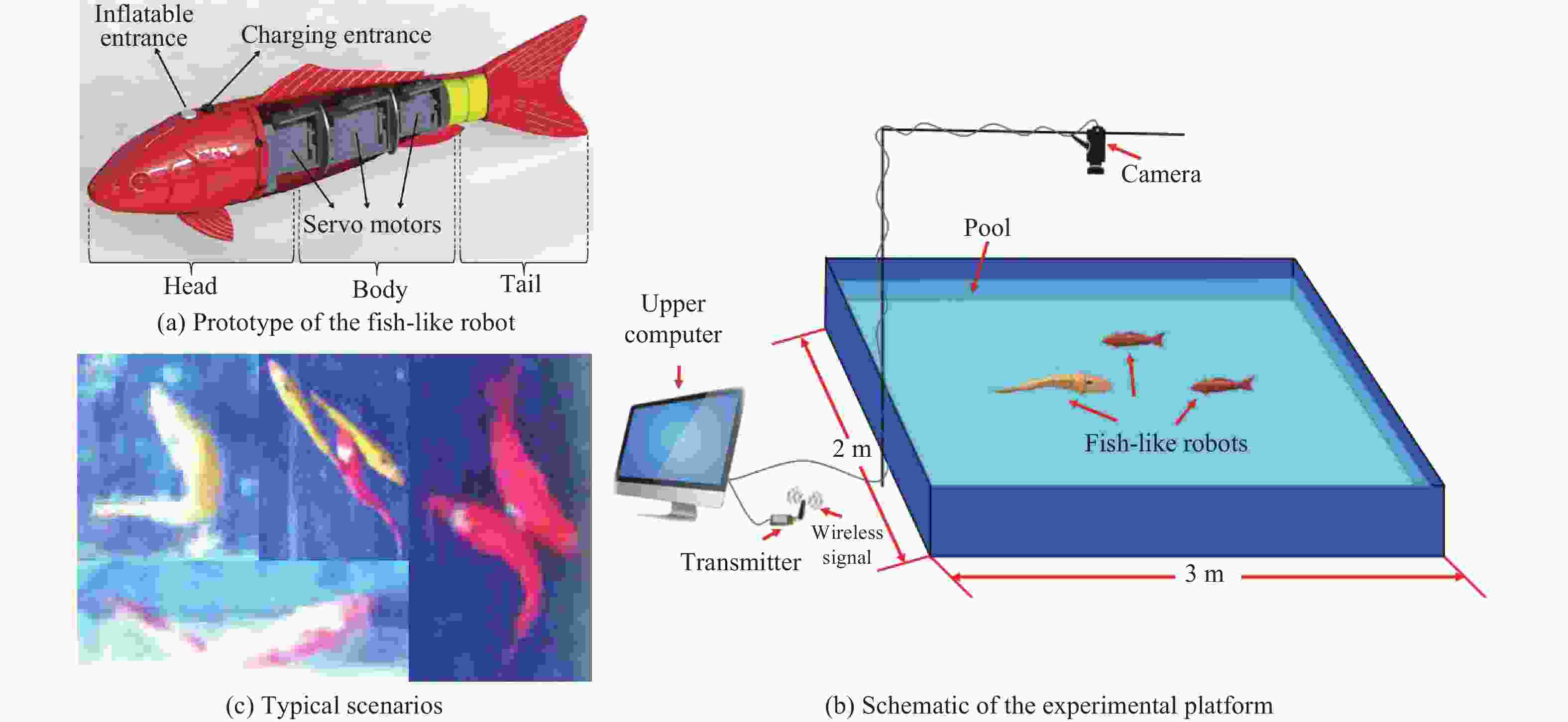 Toward Coordination Control of Multiple Fish-Like Robots: Real-Time ...